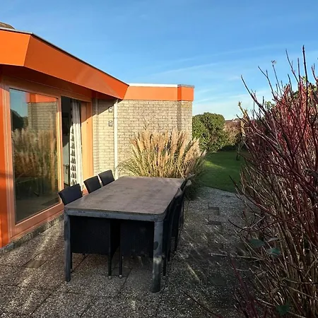 Zeester 219 * De Zandloper