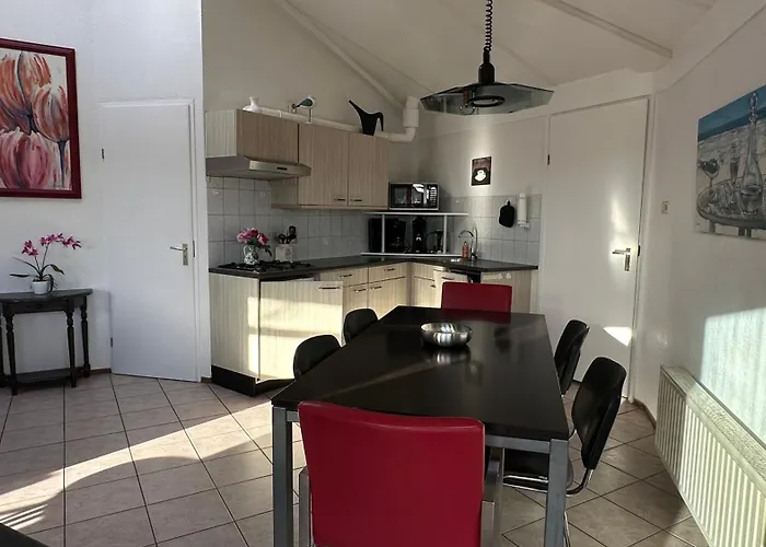 Zeester 219 * De Zandloper