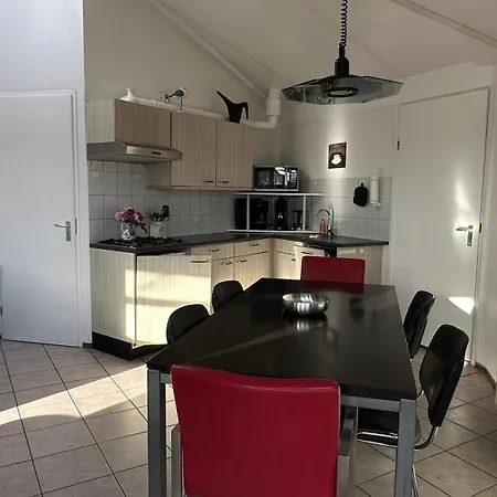 Zeester 219 * De Zandloper